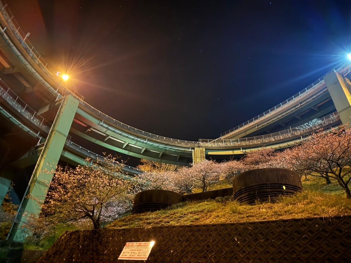 ループ橋と夜桜